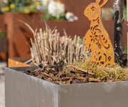 Moderne Pflanzentöpfe in verschiedenen Grössen und Designs – für jeden Stil das passende Gefäss