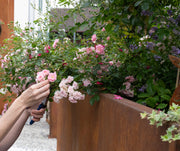 Hochbeete für eine reiche Ernte im eigenen Garten – wetterfest und langlebig